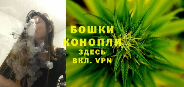 молекула духа Лихославль