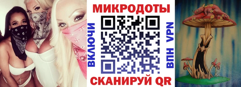 где найти   Вилючинск  Галлюциногенные грибы Psilocybe 